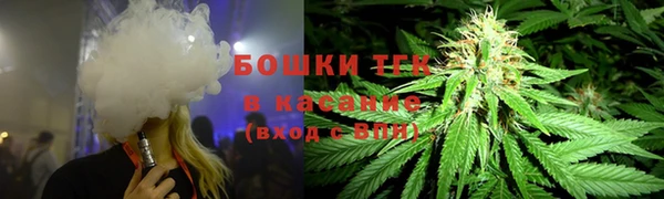 ПСИЛОЦИБИНОВЫЕ ГРИБЫ Вяземский