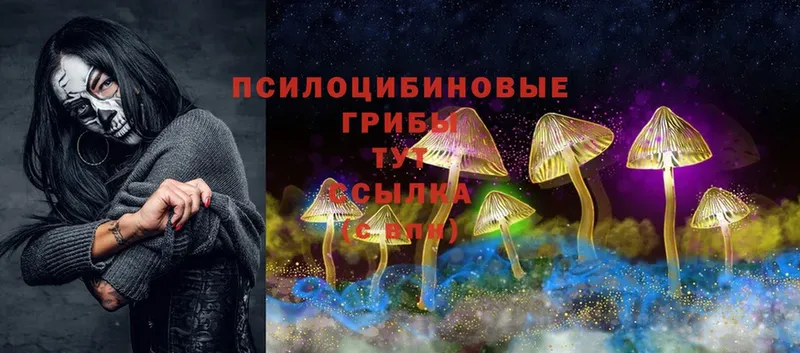 где можно купить   hydra ссылки  Псилоцибиновые грибы Psilocybe  Серов 